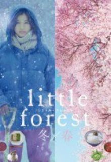 Little Forest Winter Spring