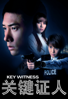 Key Witness (2021)