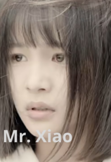Goodbye Mr. Xiao (2023)
