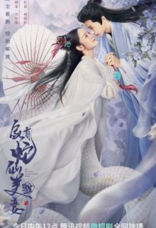 Jia You She Xian Mei Mao Qi (2023)