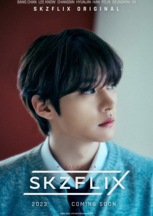 SKZ Flix (2023) poster