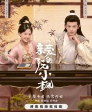 Ruan Xiaofengs Royal Love Quest (2025)