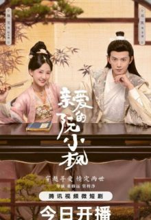 Ruan Xiaofengs Royal Love Quest (2025)