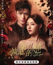 Wild Rose (2025)