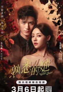 Wild Rose (2025)