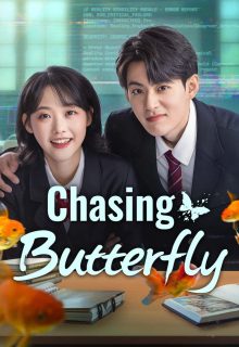 Watch the latest show Chasing Butterfly with English subtitles for free in Asiaflix