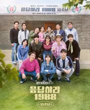 Reply 1988 10th Anniversary (2025)