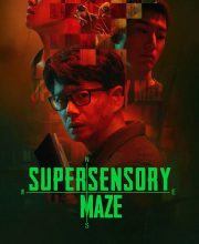 Supersensory Maze (2025)