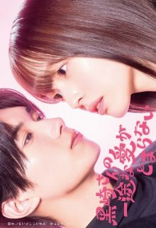 Mr. Kurosaki s Pure Love Never Stops (2026)