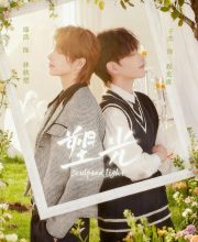 Sculpted Light (2025)