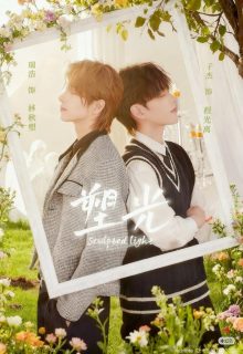 Sculpted Light (2025)