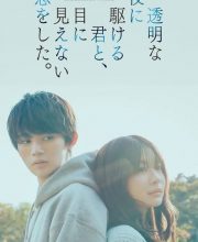 Love Unseen Beneath the Clear Night Sky (2025)