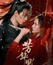 Bloom in Turmoil (2026)