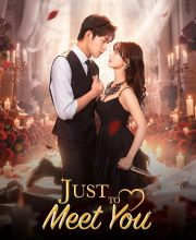Just to Meet You (2026)