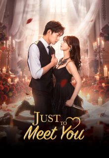 Just to Meet You (2026)