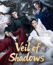 Veil of Shadows (2026)